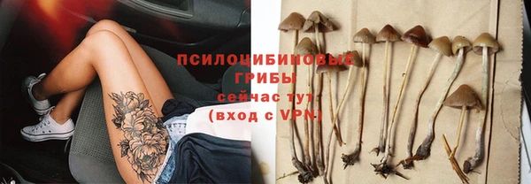 молекула духа Белокуриха