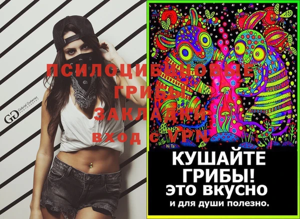 молекула духа Белокуриха