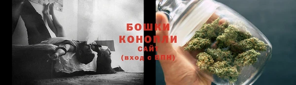молекула духа Белокуриха