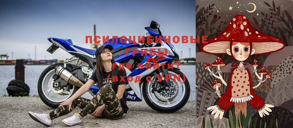 молекула духа Белокуриха