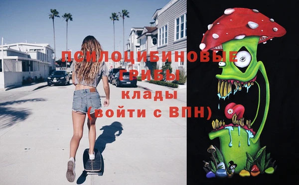 молекула духа Белокуриха