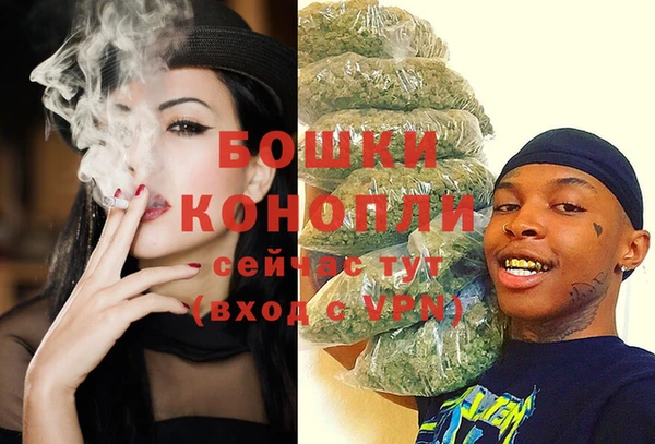 молекула духа Белокуриха