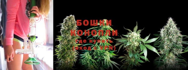 молекула духа Белокуриха