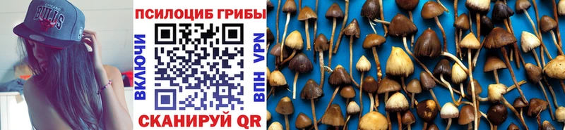KRAKEN онион  Краснослободск  Псилоцибиновые грибы Psilocybine cubensis 